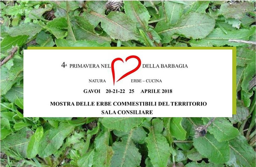 PROGRAMMA DELLA IV EDIZIONE DELLA “PRIMAVERA NEL CUORE DELLA BARBAGIA”