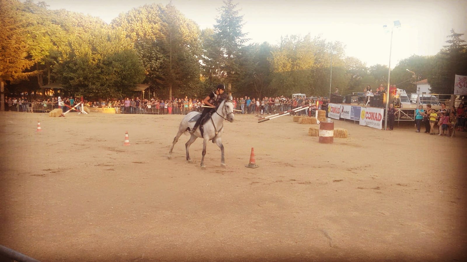 PROVE-ABLITà-GAVOI CAVALLO