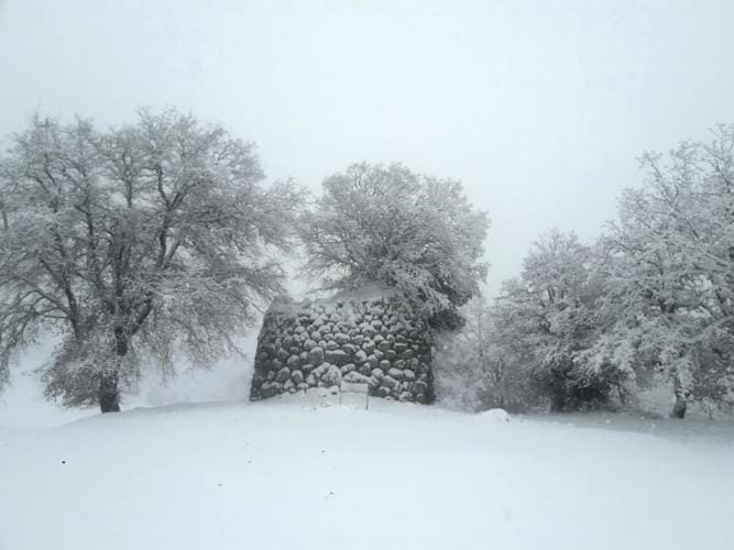 Nuraghe Talaichè-Gavoi-scuole-chiuse