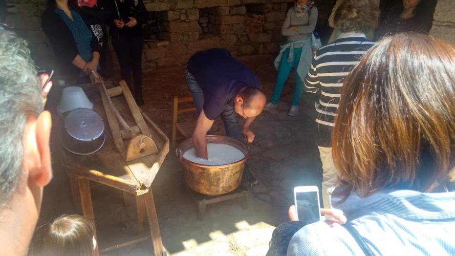 Fiore Sardo – I produttori artigianali sostengono le proposte dei Pastori Sardi sulla “Vertenza Latte”