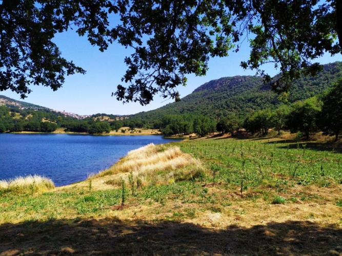 Ciliegi, peri, meli e noci sulle sponde del Lago di Gusana