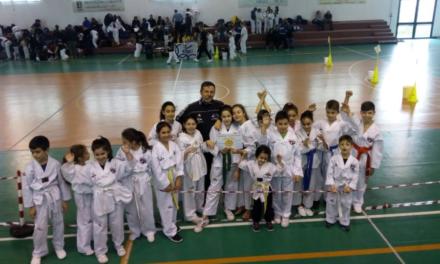 Riaprono i corsi di Taekwondo a Gavoi e Ottana