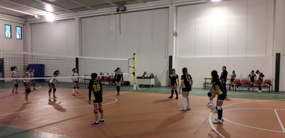 volley gavoi