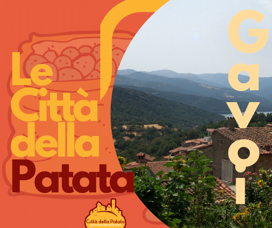 I SOCI DI CITTÀ DELLA PATATA [GAVOI]