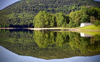 Il Lago di Gusana si anima con il BeerBagia Festival, la festa delle birre artigianali