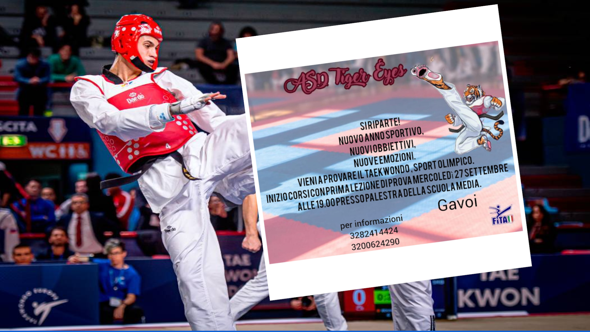 taekwondo2023-2024 gavoi